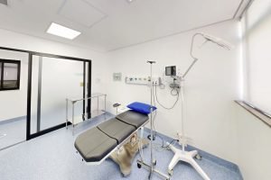 Instituto de Oncologia Ciências Médicas